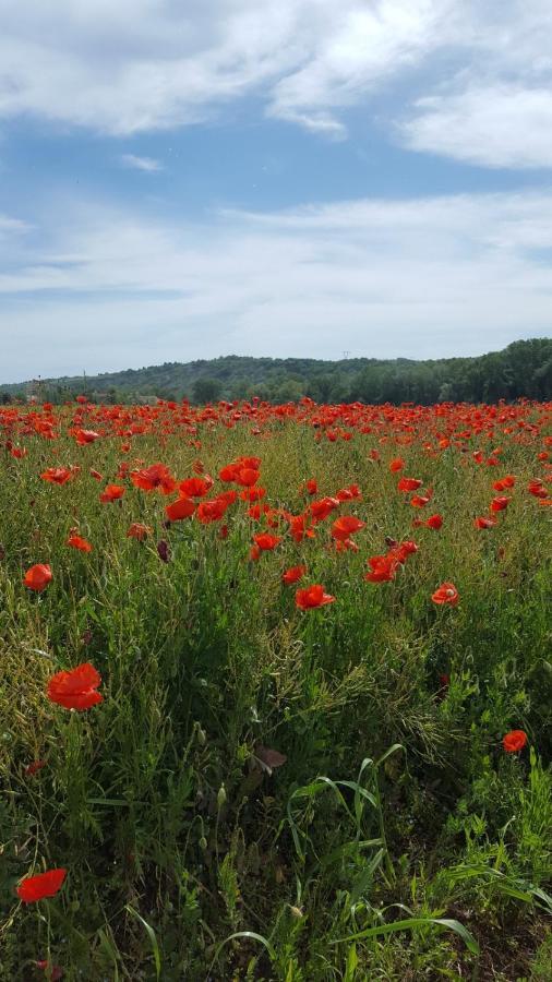 Bnb Fano Collina. La Pace Di Una Vacanza Piagge Exterior foto
